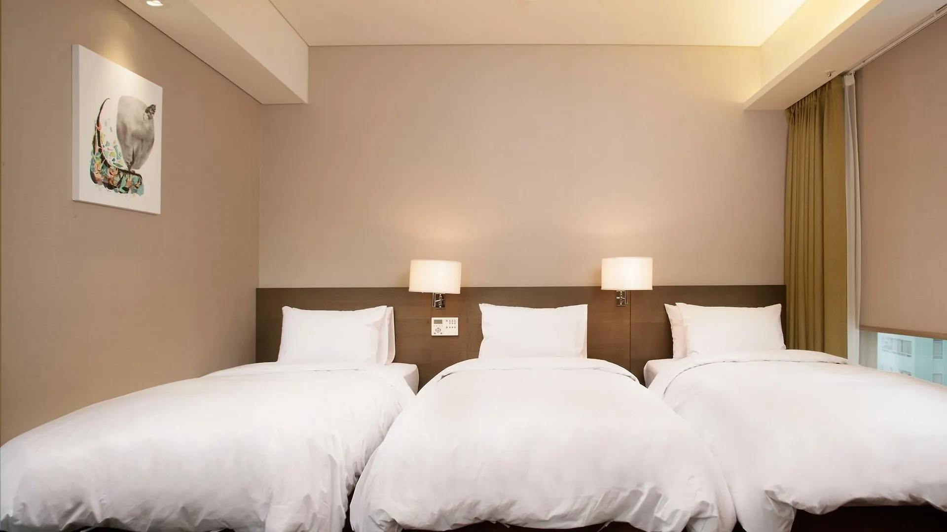 Hotel Manu Seoel